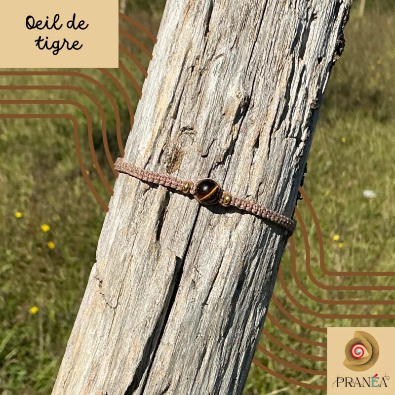 Bracelet œil de tigre posé sur un rondin de bois