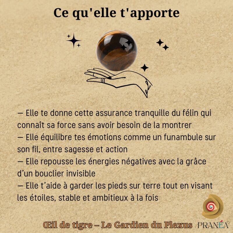 Bracelet en Œil de Tigre – Confiance, Protection & Courage | Fait main en macramé – Image 9