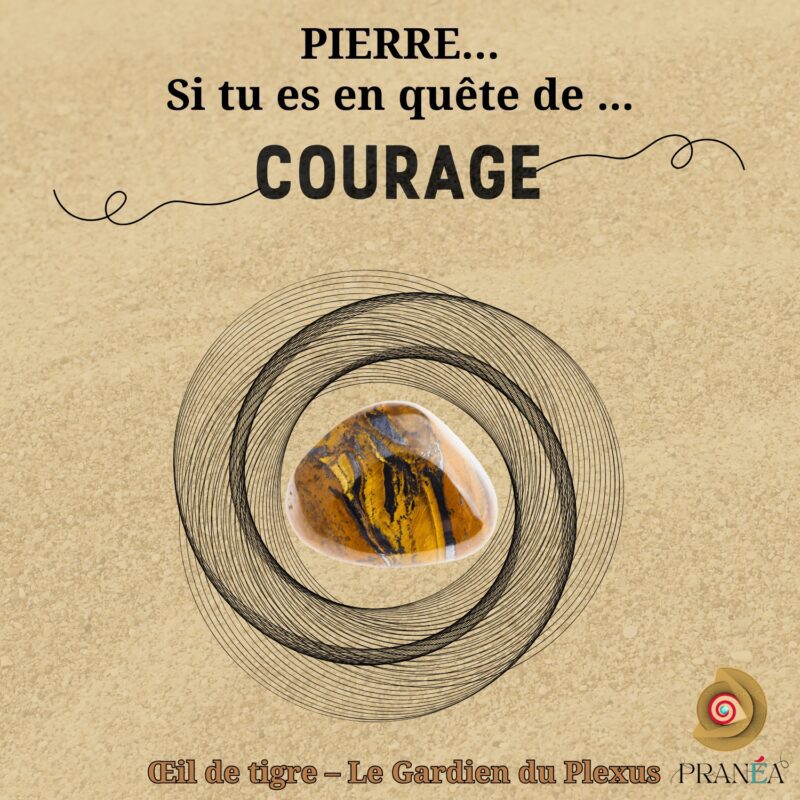 Bracelet en Œil de Tigre – Confiance, Protection & Courage | Fait main en macramé – Image 8
