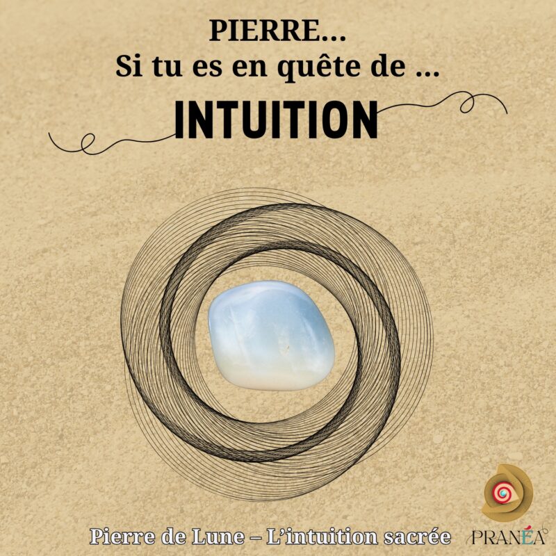 Bracelet en Pierre de Lune – Intuition, Douceur & Cycles de vie | Fait main en macramé – Image 8